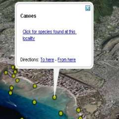uploads/news/2009/pic_2_648.jpg