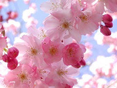 uploads/news/201003/photo_big_1805.jpg
